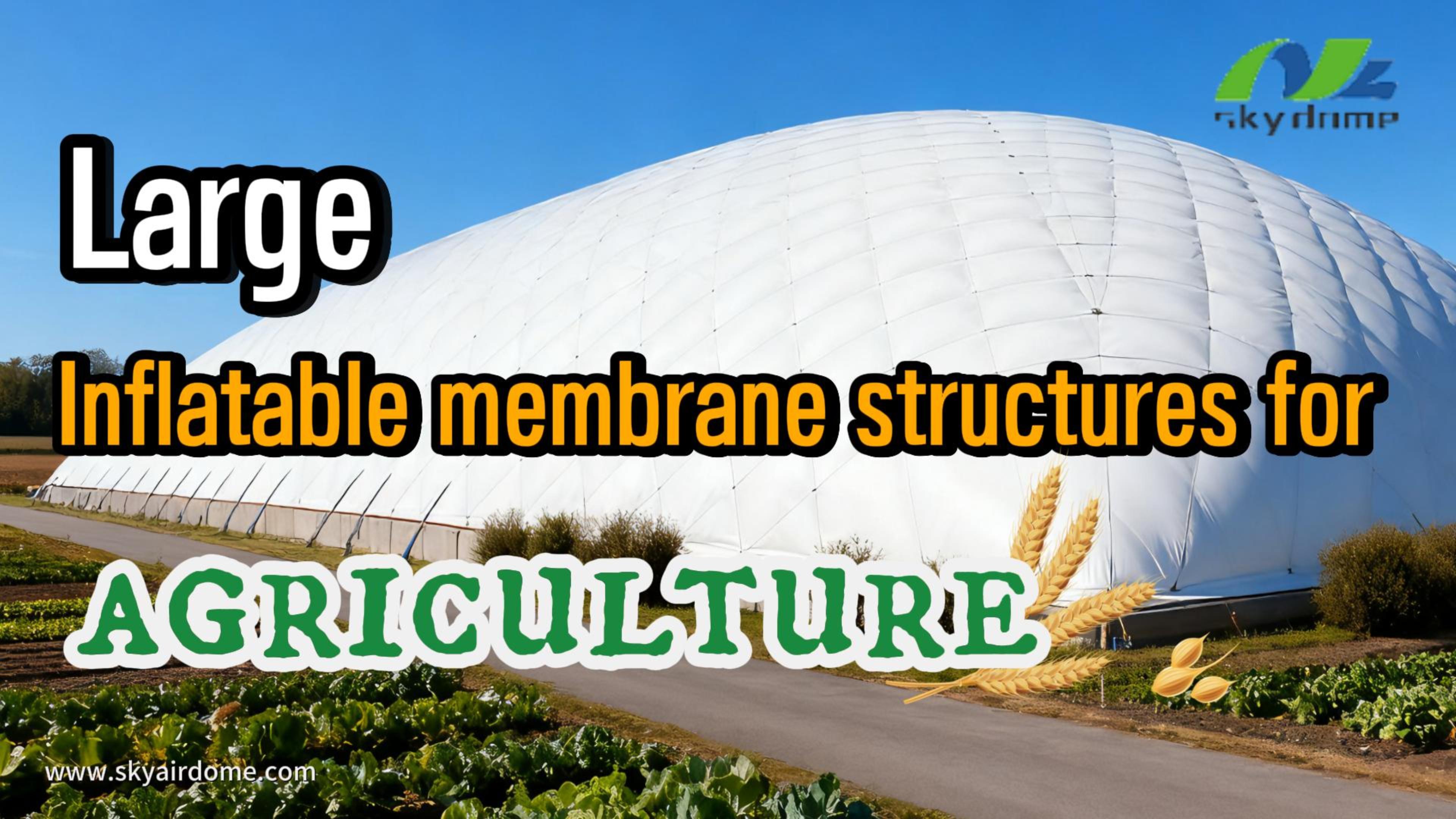 Malaking inflatable membrane structures para sa agrikultura